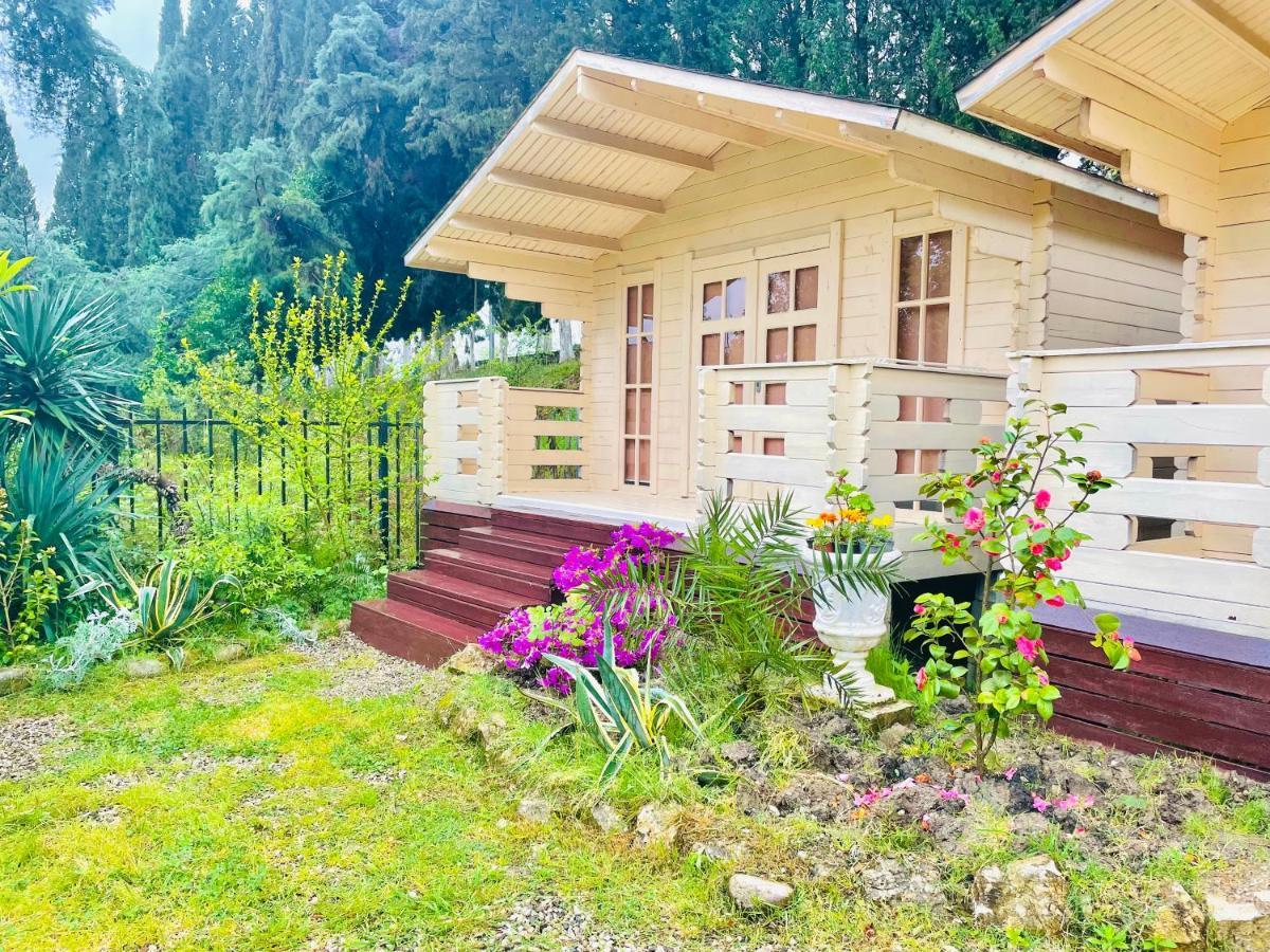 Vacation Home Apsar New Athos Exteriér fotografie